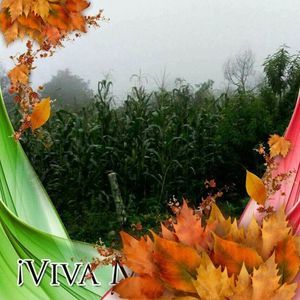 Meet your Posher, Onecimo